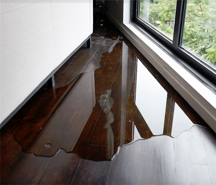 a puddle of water on hardwood floor
