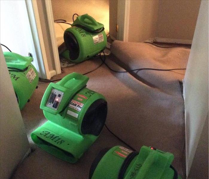 Green Air Movers "Floating" a Carpet for Drying