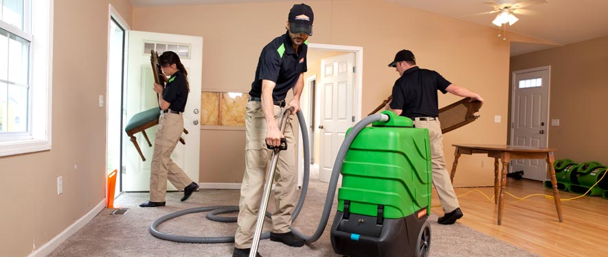 Wayne, NJ cleaning services